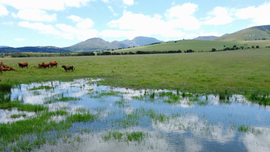  Bedroom Property for Sale in Mossel Bay Rural Western Cape